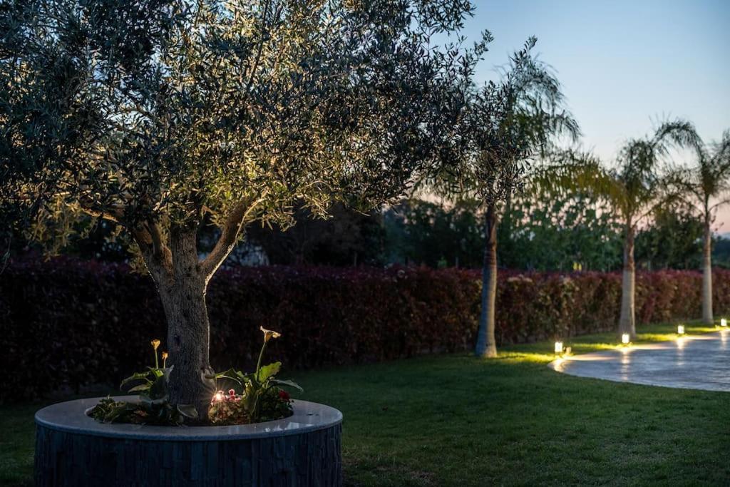 "Aeolos" Luxury Villa Preweza Zewnętrze zdjęcie